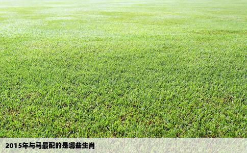 2015年与马最配的是哪些生肖