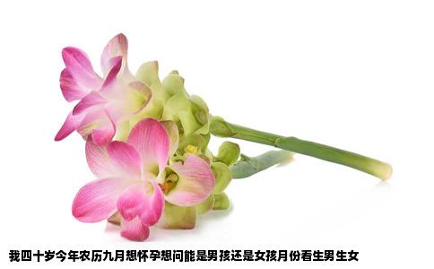 我四十岁今年农历九月想怀孕想问能是男孩还是女孩月份看生男生女
