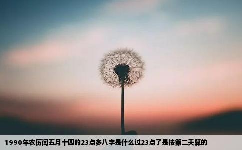 1990年农历闰五月十四的23点多八字是什么过23点了是按第二天算的
