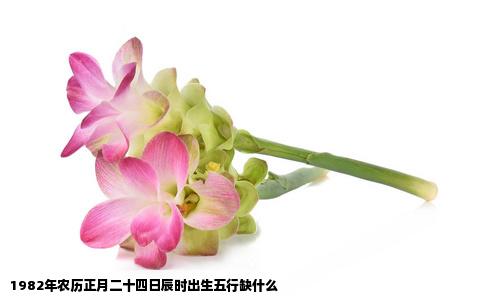 1982年农历正月二十四日辰时出生五行缺什么