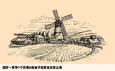 你好丶怀孕7个月看B超单子生男生女怎么看