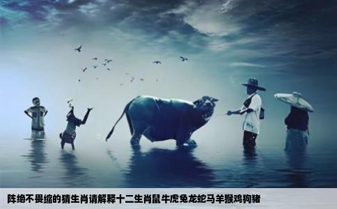 阵绝不畏缩的猜生肖请解释十二生肖鼠牛虎兔龙蛇马羊猴鸡狗猪