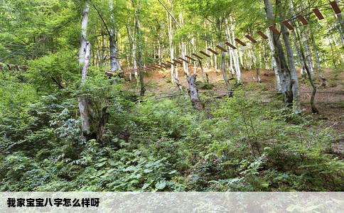 我家宝宝八字怎么样呀