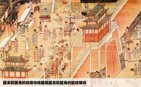 属龙和属兔的结婚伴娘属相属龙和属兔的能结婚吗