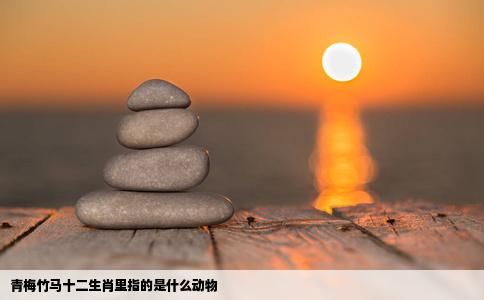 青梅竹马十二生肖里指的是什么动物