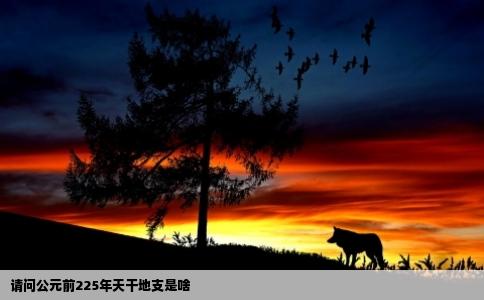 请问公元前225年天干地支是啥