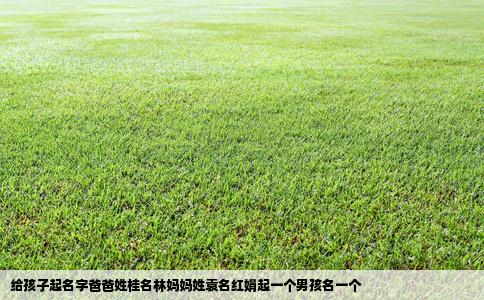 给孩子起名字爸爸姓桂名林妈妈姓袁名红娟起一个男孩名一个