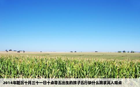 2014年阳历十月三十一日十点零五出生的孩子五行缺什么跪求高人指点