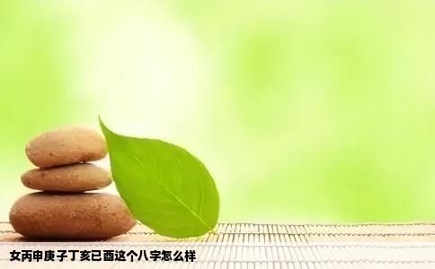 女丙申庚子丁亥已酉这个八字怎么样