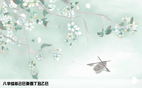 八字信息己巳癸酉丁丑乙巳