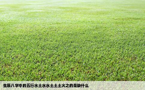 生辰八字中的五行水土水水土土土火之的是缺什么