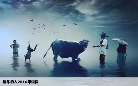 属牛的人2016年运程
