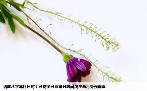 请教八字年月日时丁己戊癸已酉寅丑想问戊生酉月身强弱喜