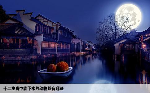 十二生肖中能下水的动物都有哪些