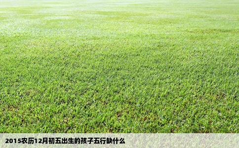2015农历12月初五出生的孩子五行缺什么