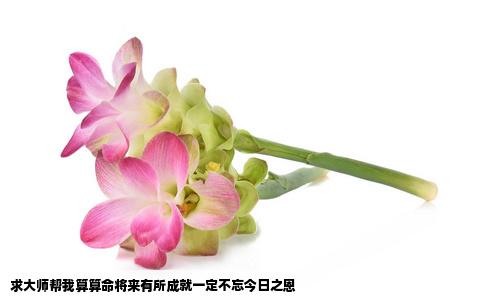 求大师帮我算算命将来有所成就一定不忘今日之恩