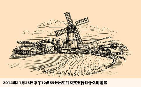 2014年11月25日中午12点55分出生的女孩五行缺什么谢谢啦