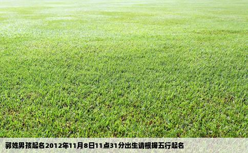 郭姓男孩起名2012年11月8日11点31分出生请根据五行起名