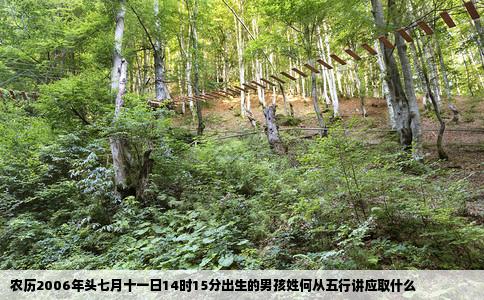 农历2006年头七月十一日14时15分出生的男孩姓何从五行讲应取什么