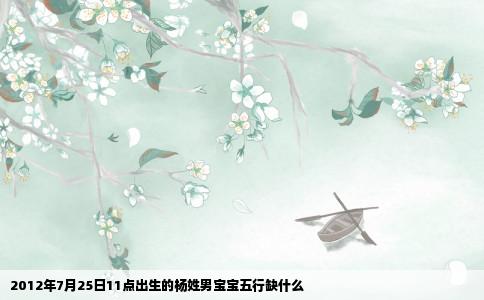 2012年7月25日11点出生的杨姓男宝宝五行缺什么