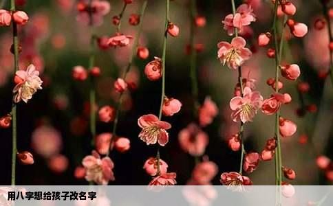 用八字想给孩子改名字