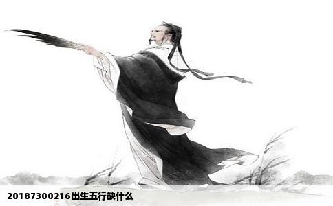 20187300216出生五行缺什么