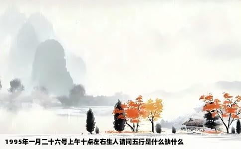 1995年一月二十六号上午十点左右生人请问五行是什么缺什么