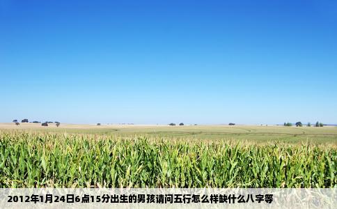 2012年1月24日6点15分出生的男孩请问五行怎么样缺什么八字等