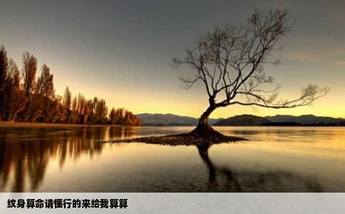 纹身算命请懂行的来给我算算