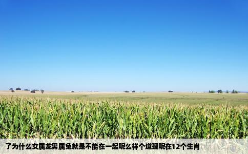 了为什么女属龙男属兔就是不能在一起呢么样个道理呢在12个生肖