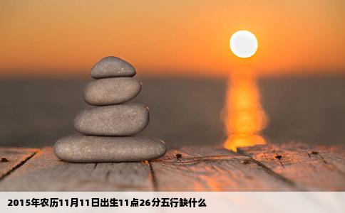 2015年农历11月11日出生11点26分五行缺什么