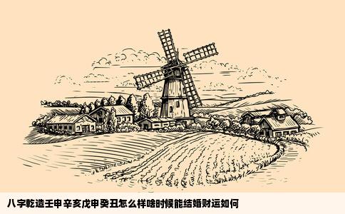 八字乾造壬申辛亥戊申癸丑怎么样啥时候能结婚财运如何