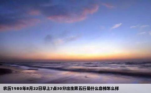 农历1980年8月22日早上7点30分出生男五行是什么命格怎么样