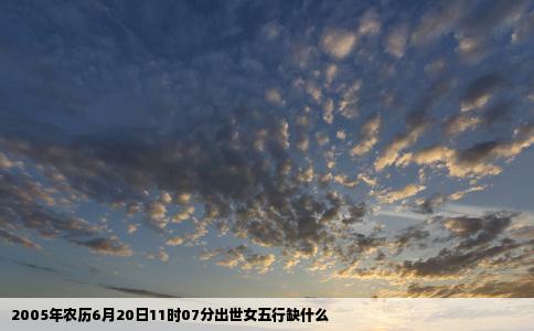 2005年农历6月20日11时07分出世女五行缺什么
