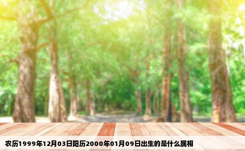 农历1999年12月03日阳历2000年01月09日出生的是什么属相