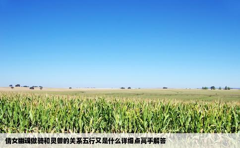 倩女幽魂做骑和灵兽的关系五行又是什么详细点高手解答