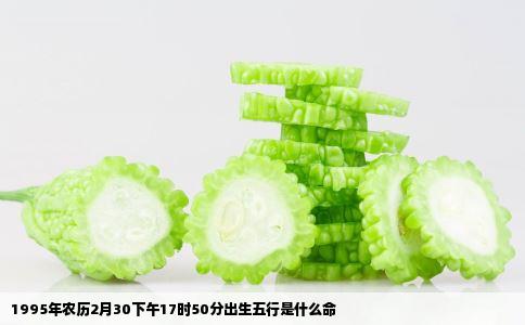 1995年农历2月30下午17时50分出生五行是什么命