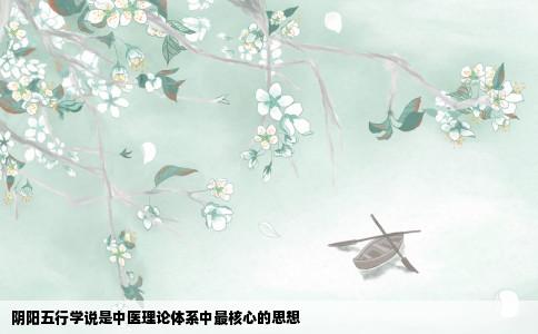 阴阳五行学说是中医理论体系中最核心的思想