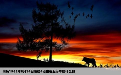 阴历1962年8月14日凌晨4点生在五行中属什么命