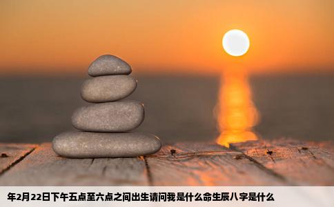 年2月22日下午五点至六点之间出生请问我是什么命生辰八字是什么