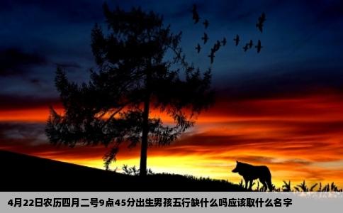 4月22日农历四月二号9点45分出生男孩五行缺什么吗应该取什么名字