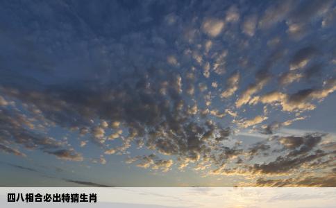 四八相合必出特猜生肖