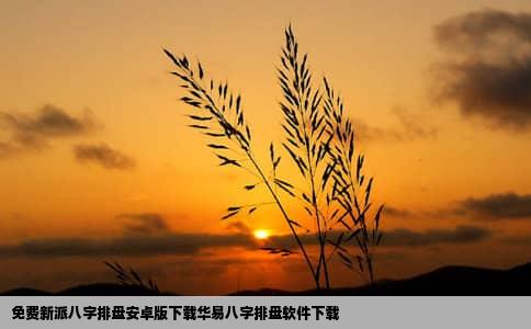 免费新派八字排盘安卓版下载华易八字排盘软件下载
