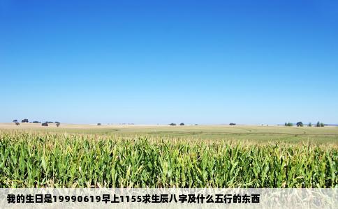 我的生日是19990619早上1155求生辰八字及什么五行的东西