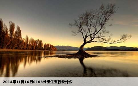 2014年11月16日0103分出生五行缺什么