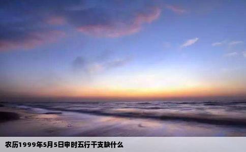 农历1999年5月5日申时五行干支缺什么