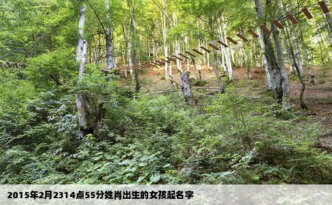2015年2月2314点55分姓肖出生的女孩起名字