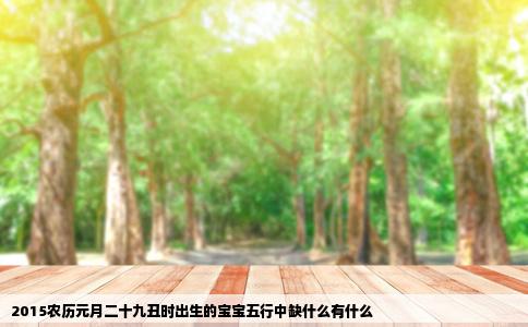 2015农历元月二十九丑时出生的宝宝五行中缺什么有什么