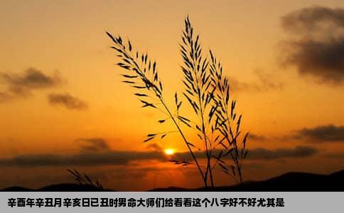 辛酉年辛丑月辛亥日已丑时男命大师们给看看这个八字好不好尤其是