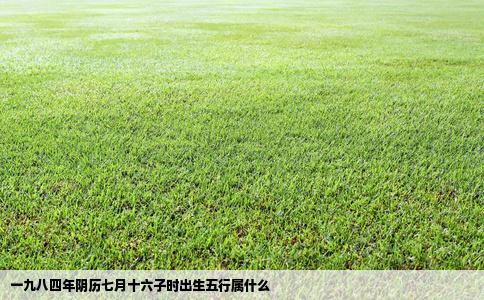 一九八四年阴历七月十六子时出生五行属什么